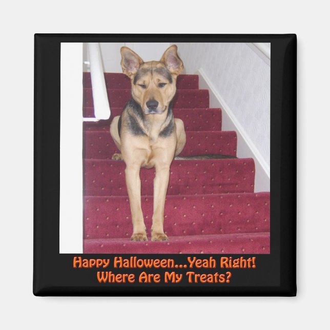Halloween German Shepherd Hund No Treats Magnet (Framsidan)