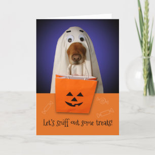 Halloween Ghost Hund, Sniff Out Treats Kort