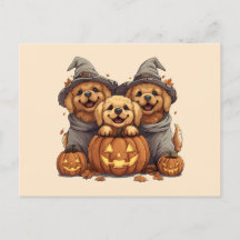 Halloween Golden Retriever Hundar Jack o lantern