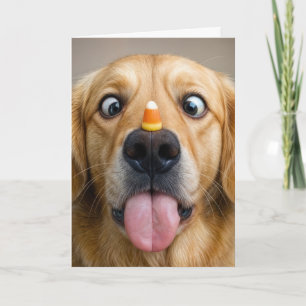 Halloween Golden Retriever Med Candy Corn Kort