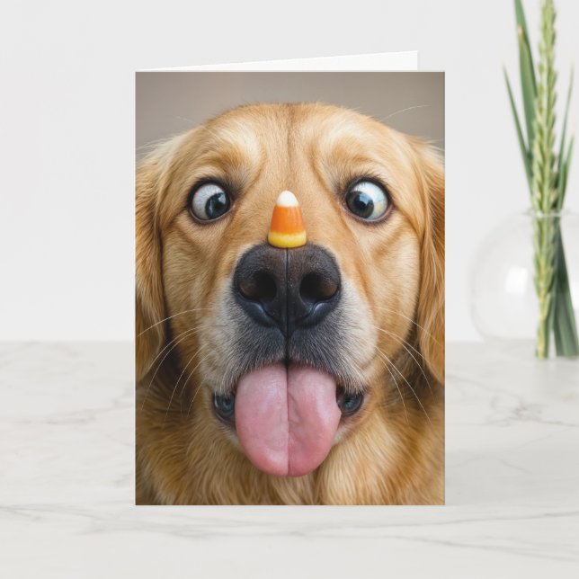 Halloween Golden Retriever Med Candy Corn Kort (Framsida)