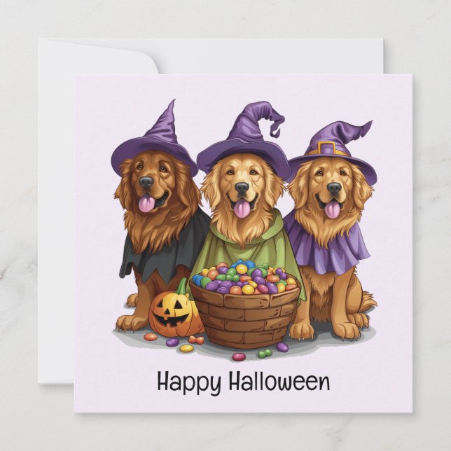 Halloween Golden Retriever Witch Hundar Inbjudningar (Framsida)