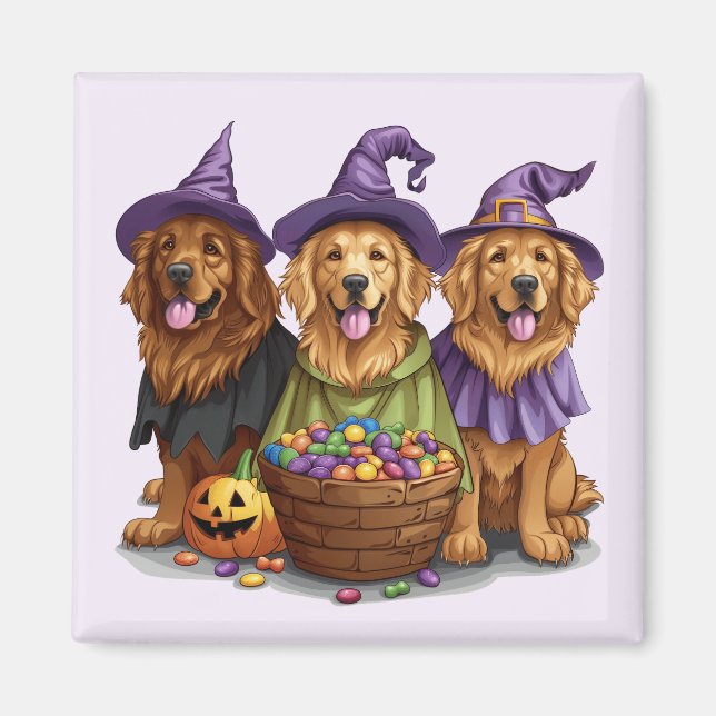 Halloween Golden Retriever Witch Hundar Magnet (Framsidan)