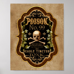 Halloween Gothic Skull och Crossbone Witch Pitch Poster
