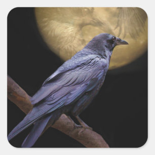 Halloween, Gothic Stil Raven och Måne Fyrkantigt Klistermärke