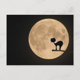 Halloween-gotsisk katt med fullt måne vykort