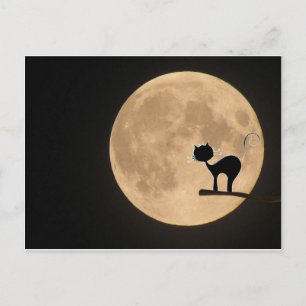Halloween-gotsisk katt med fullt måne vykort