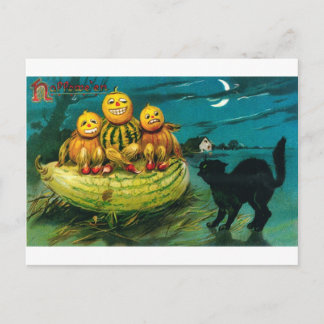 Halloween Gourd Peopl och Cat Vykort