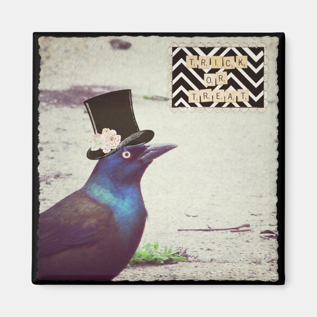 Halloween Grackle Magnet (Framsidan)