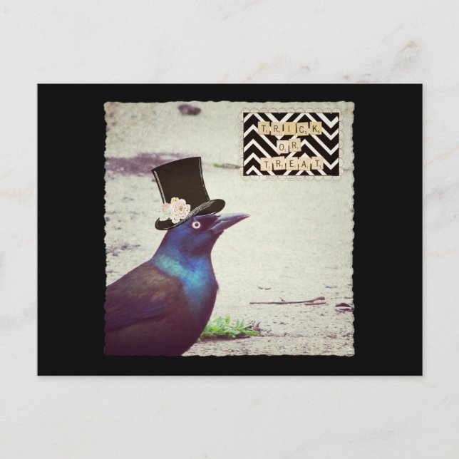 Halloween Grackle Vykort (Framsida)