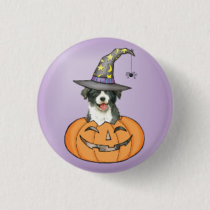 Halloween Gräns Collie Button Knapp