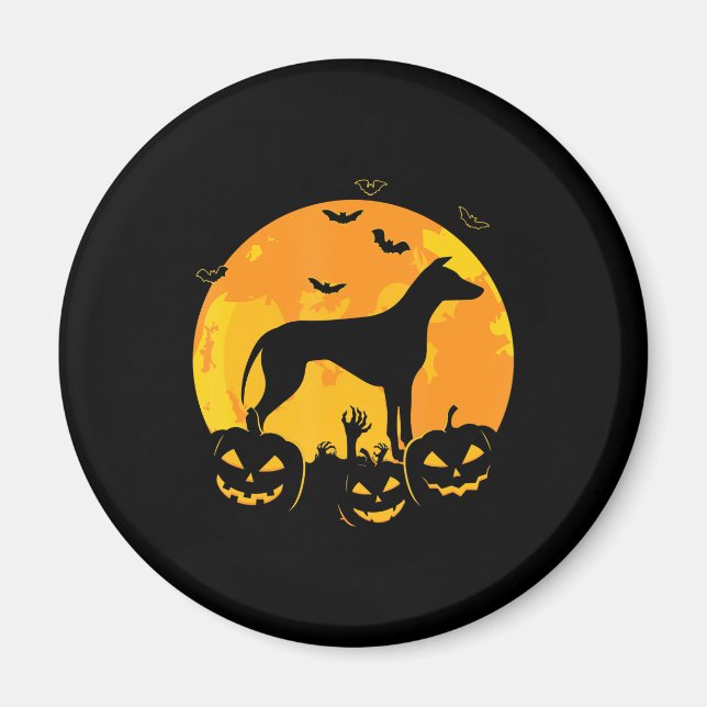 halloween greyhound jack lantern puppy pumpkin magnet (Framsidan)