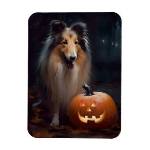 Halloween Grov Collie Med Pumpa Skräck Magnet