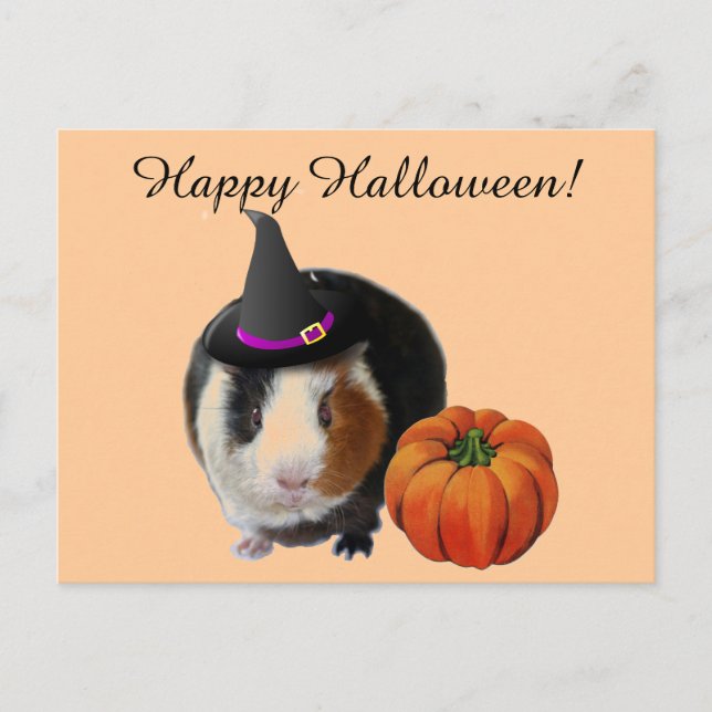 Halloween Guinea Gris Vykort (Framsida)