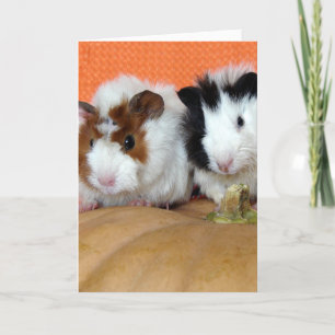 Halloween Guinea Grisar Kort