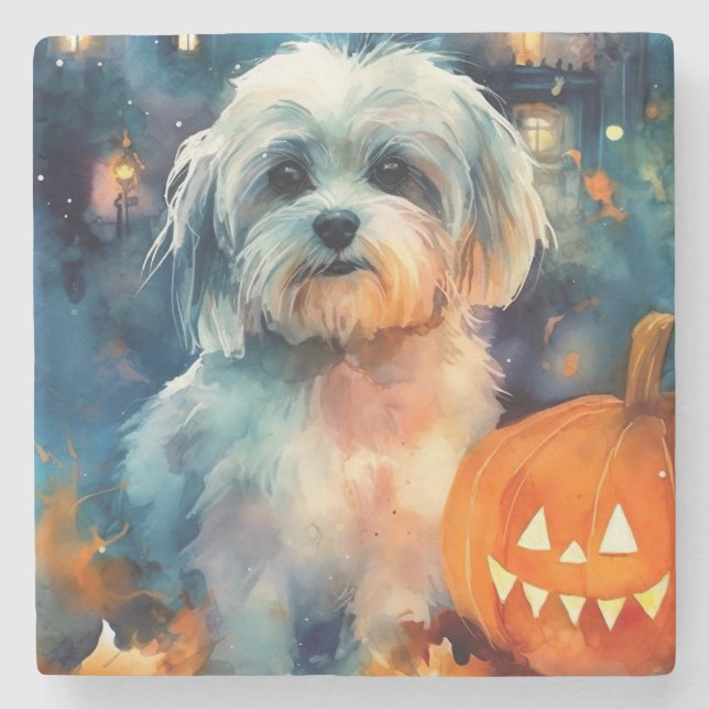 Halloween Havanese Med Pumpa Skräck Stenunderlägg (Framsidan)