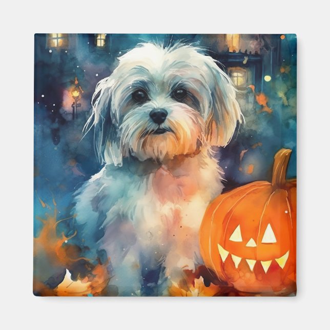 Halloween Havanese with Pumpkins Scary Magnet (Framsidan)