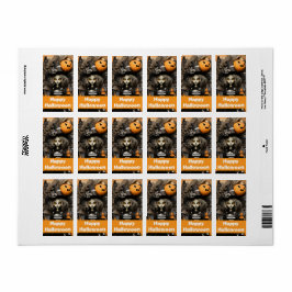 Halloween-häxa med pumpor adressetikett