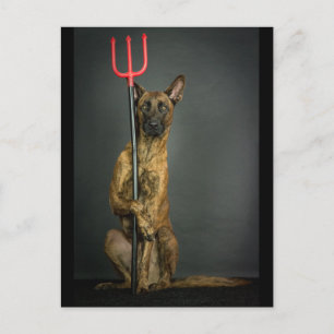 halloween hund-djävulen vykort