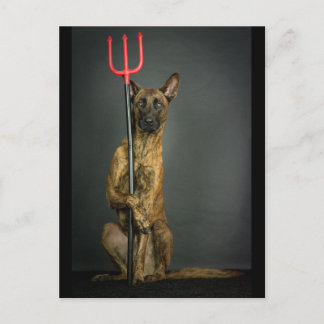 halloween hund-djävulen vykort