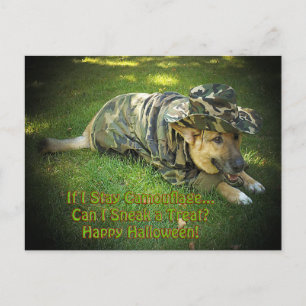 Halloween Hund i Camouflage Vykort