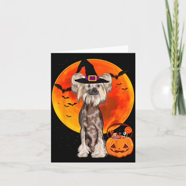 Halloween Hund Kinesisk Naken Jack O Lantern Kort (Framsida)