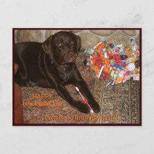 Halloween Hund med Sweet Tooth Vykort