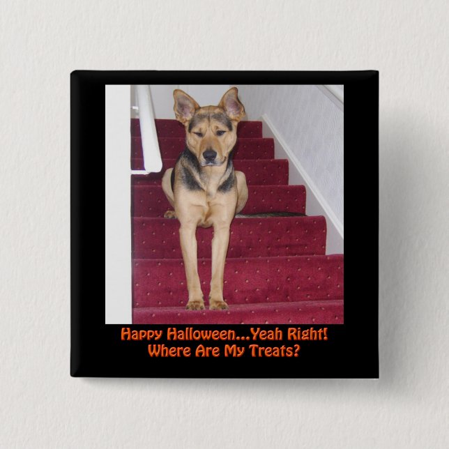 Halloween-Hund och inga trettat Knapp (Framsida)