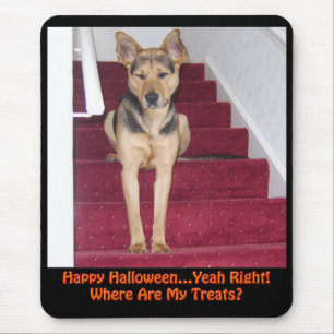 Halloween-Hund och inga trettat Musmatta