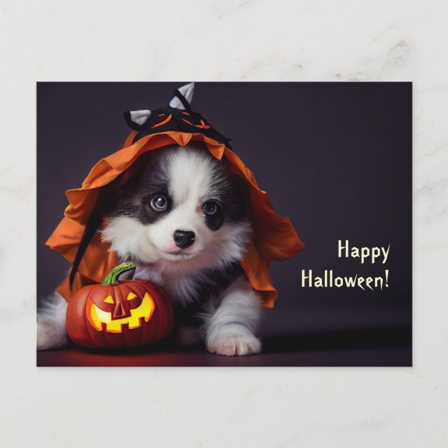 Halloween Hund. Welpe mit Kürbissen. Niedlich. Vykort (Framsida)