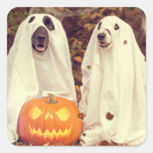 HALLOWEEN HUNDAR AS SPÖKEN SQUARE STICKER FYRKANTIGT KLISTERMÄRKE