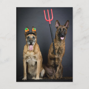 Halloween hundar vykort