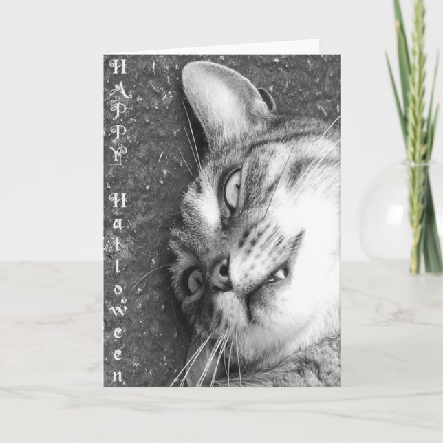 Halloween-katt Kort (Framsida)