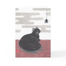 Halloween, Katt, Spider