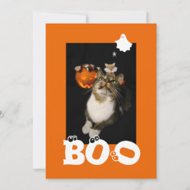 Halloween Katt Spöke Spindel Ögon Foto Julkort