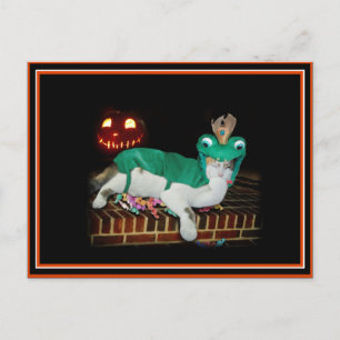 Halloween-katten skaffar varorna! vykort