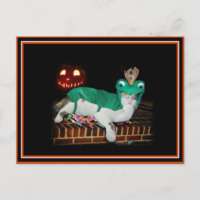 Halloween-katten skaffar varorna! vykort (Framsida)