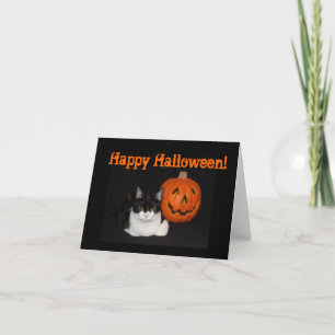 Halloween Kattunge-anteckningskort Kort