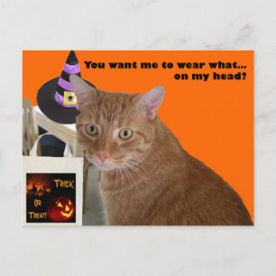 Halloween Kattunge - Bära Vad Vykort