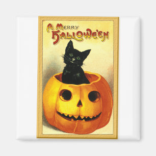 Halloween Kitty sittande i Jack O Lantern Magnet