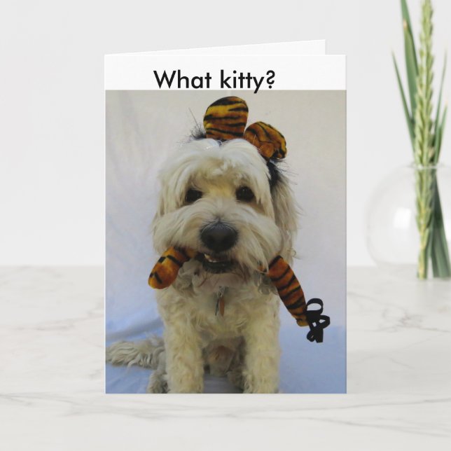 halloween-kort, humor, hund eats-katt, skyldig hun helgkort (Framsida)