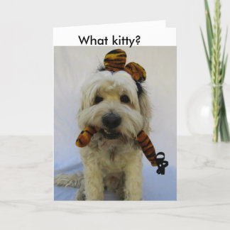 halloween-kort, humor, hund eats-katt, skyldig hun helgkort