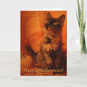 Halloween-kort Kort