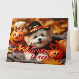 Halloween-kort Maltipoo hund Kort