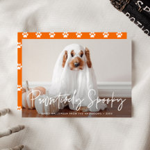 Halloween-kort med positivt läskig husdjursfoto