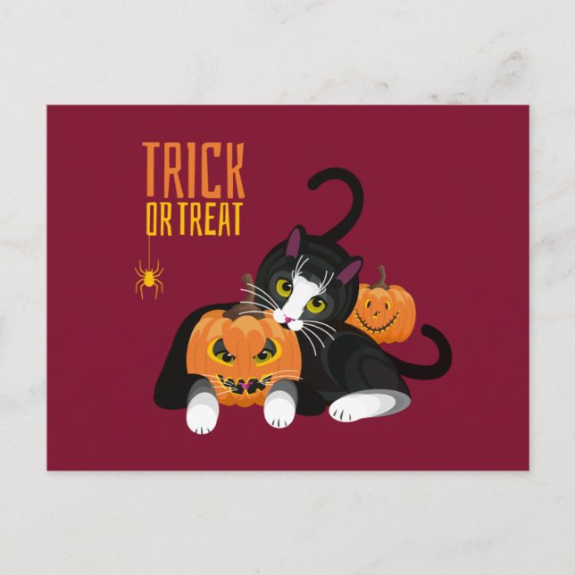 Halloween-kort med rolig katt - 'Trick or Treat' Vykort (Framsida)