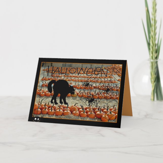 Halloween-kort med svart katt kort (Framsida)