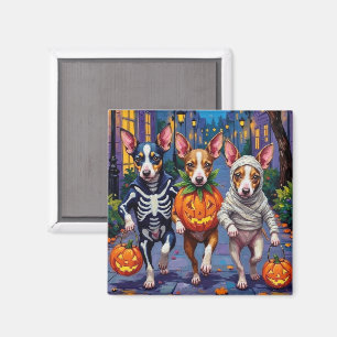 Halloween-kostymer för råttterrier som stryker omk magnet