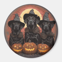 Halloween Labrador Retriever Hundar Witch Hats