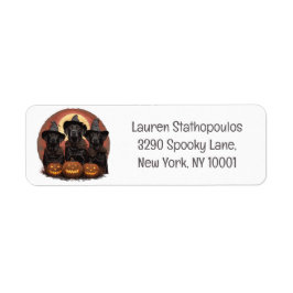 Halloween Labrador Retriever Hundar Witch Hats Returadress Etikett